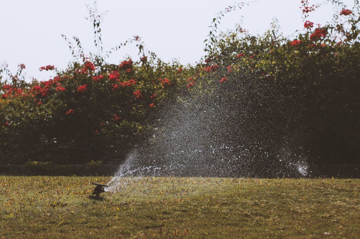 Private Wells and Water Sources: The Complete Homeowner’s Guide