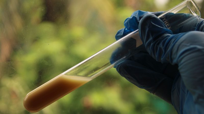 What’s Actually in Your Well Water? A Plain-English Beginner’s Guide