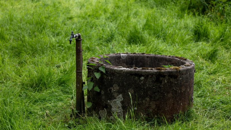 The Best Types of Wells for Homes: Dug, Bored and Drilled Compared