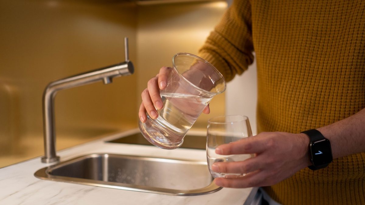 Best Whole-House Water Filters for Well and Borewell Homes