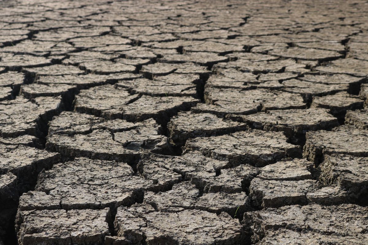 Top 8 Signs Your Well Is Failing or Running Dry