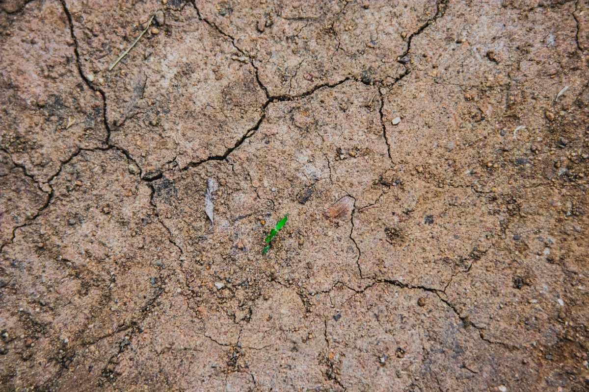 Top 8 Signs Your Well Is Failing or Running Dry