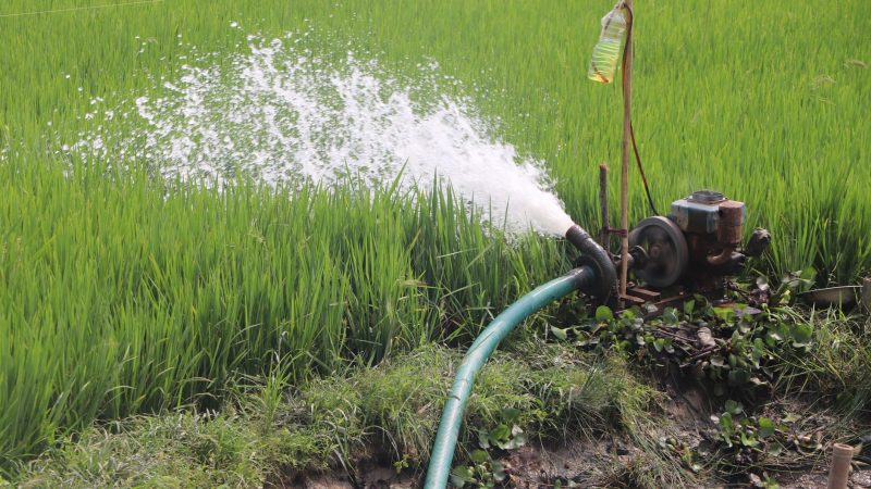 Submersible vs Jet Pump: Which Water Pump Suits Your Well?