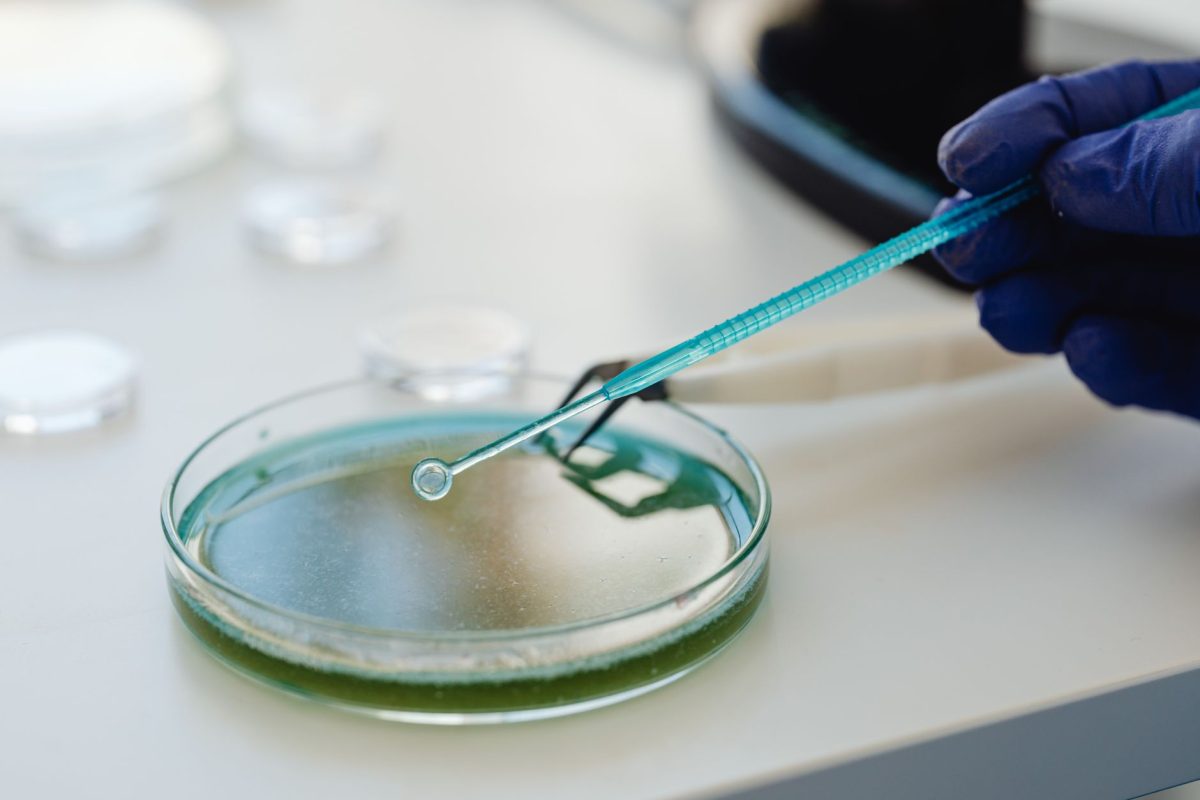 Test Strips vs Digital Meters vs Lab Kits: A Full Comparison