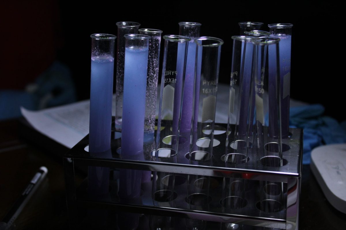 Test Strips vs Certified Lab Testing: Which Water Test Do You Actually Need?