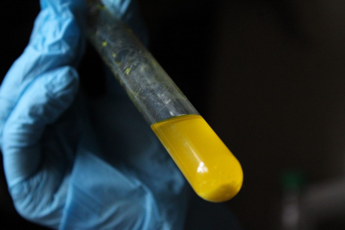 The Complete Well Water Testing Checklist for Homeowners