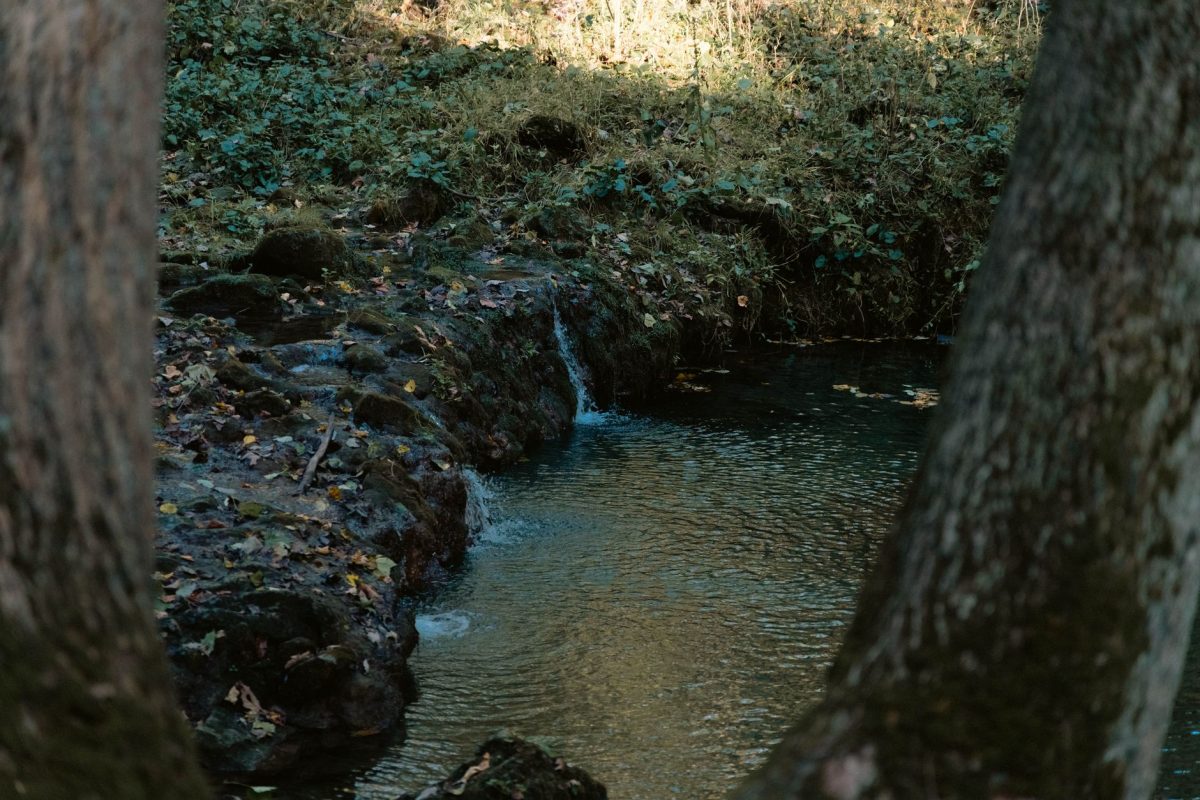 Well Water Levels This Year: Seasonal Trends and How to Prepare