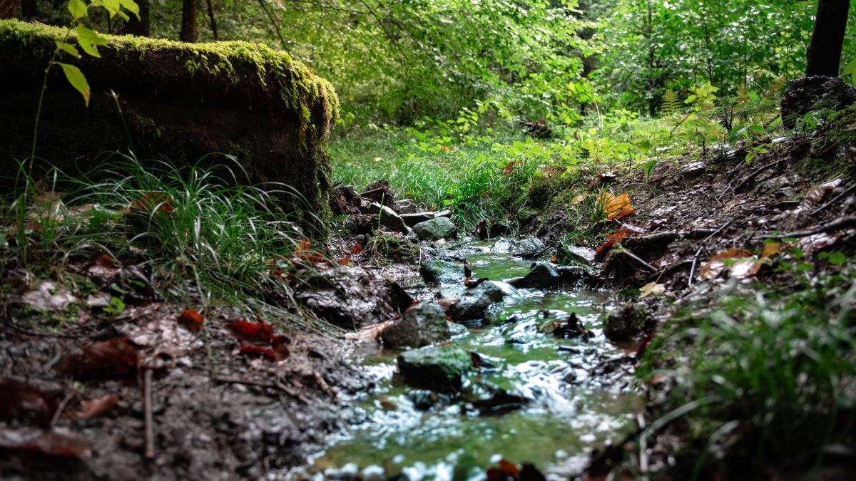 Well Water Levels This Year: Seasonal Trends and How to Prepare