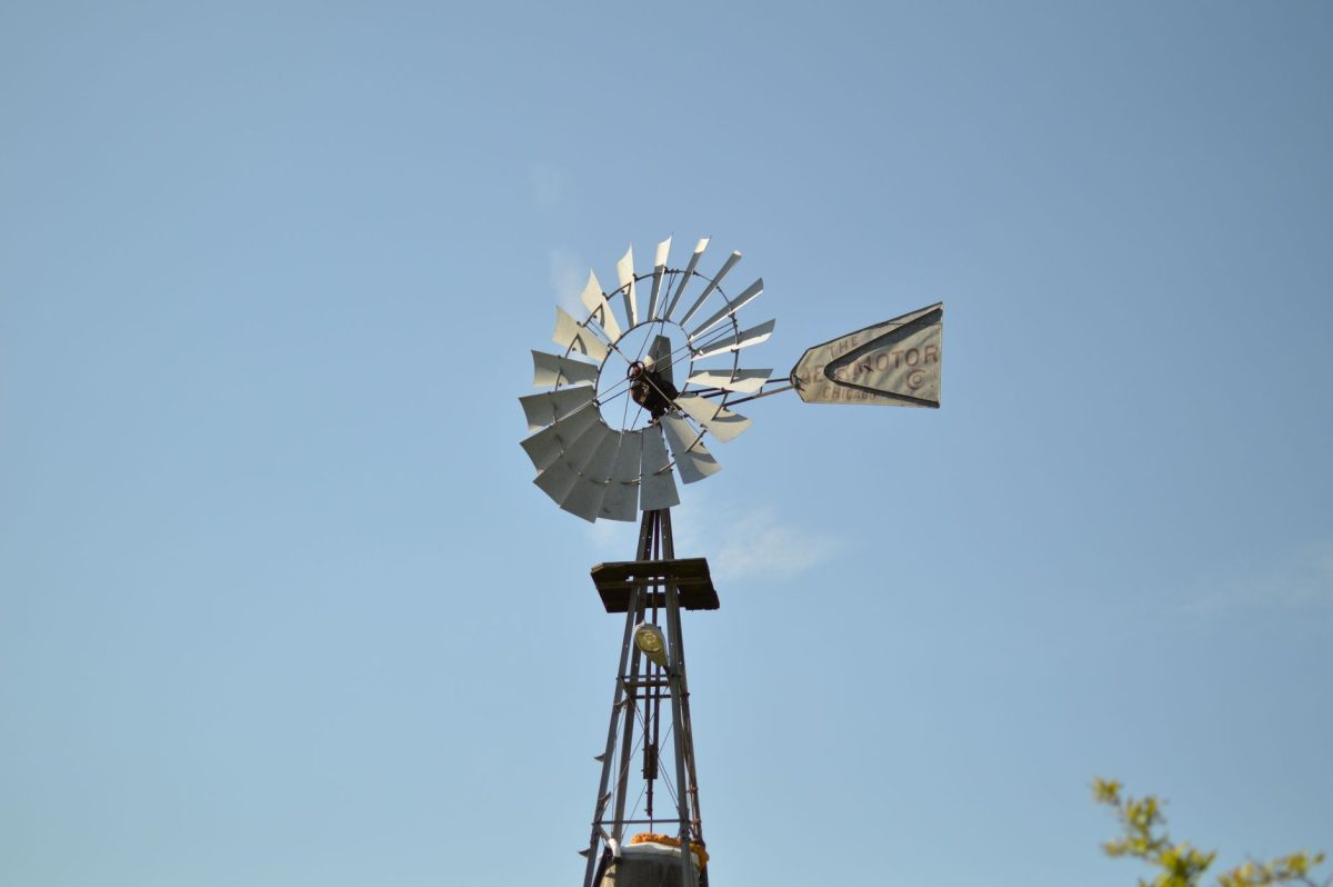 I Ran a Full Yearly Maintenance Routine on My Borewell: Here’s What Happened