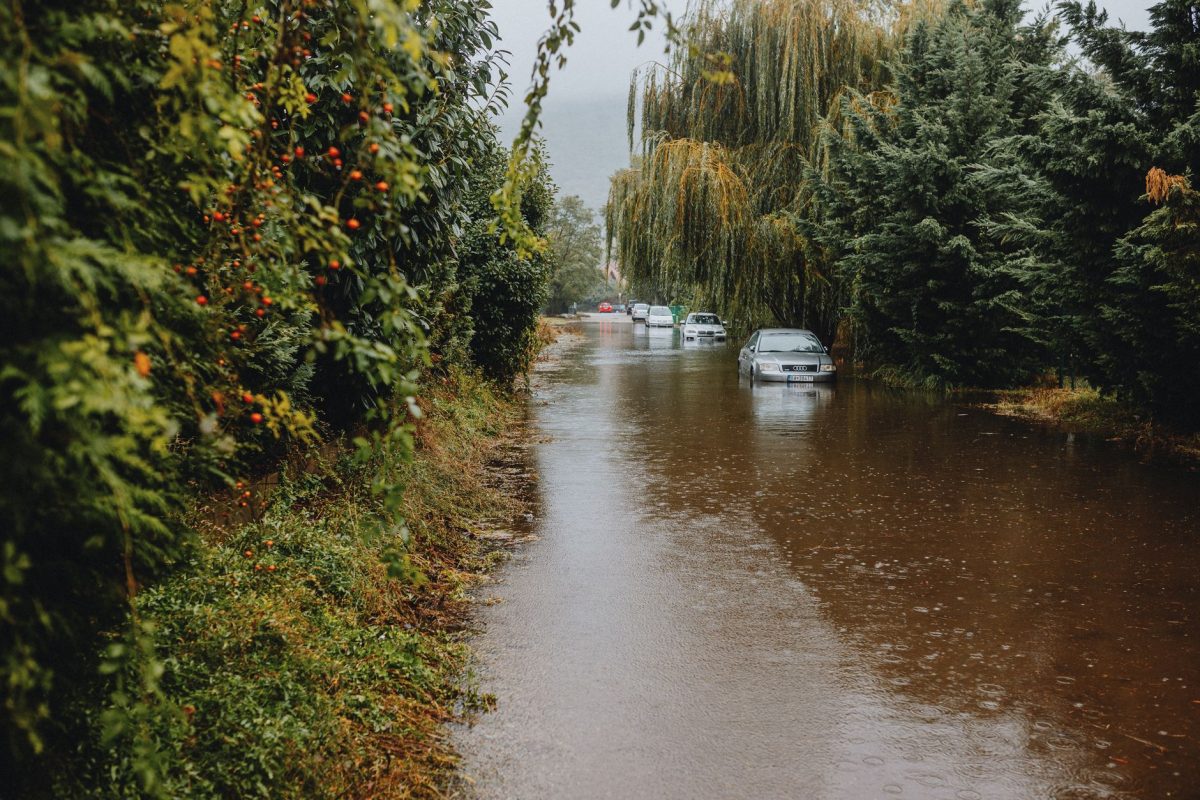 Monsoon Water Treatment: Keeping Home Water Safe in the Rains